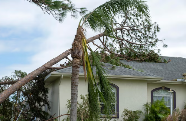 Windstorm Insurance in Texas