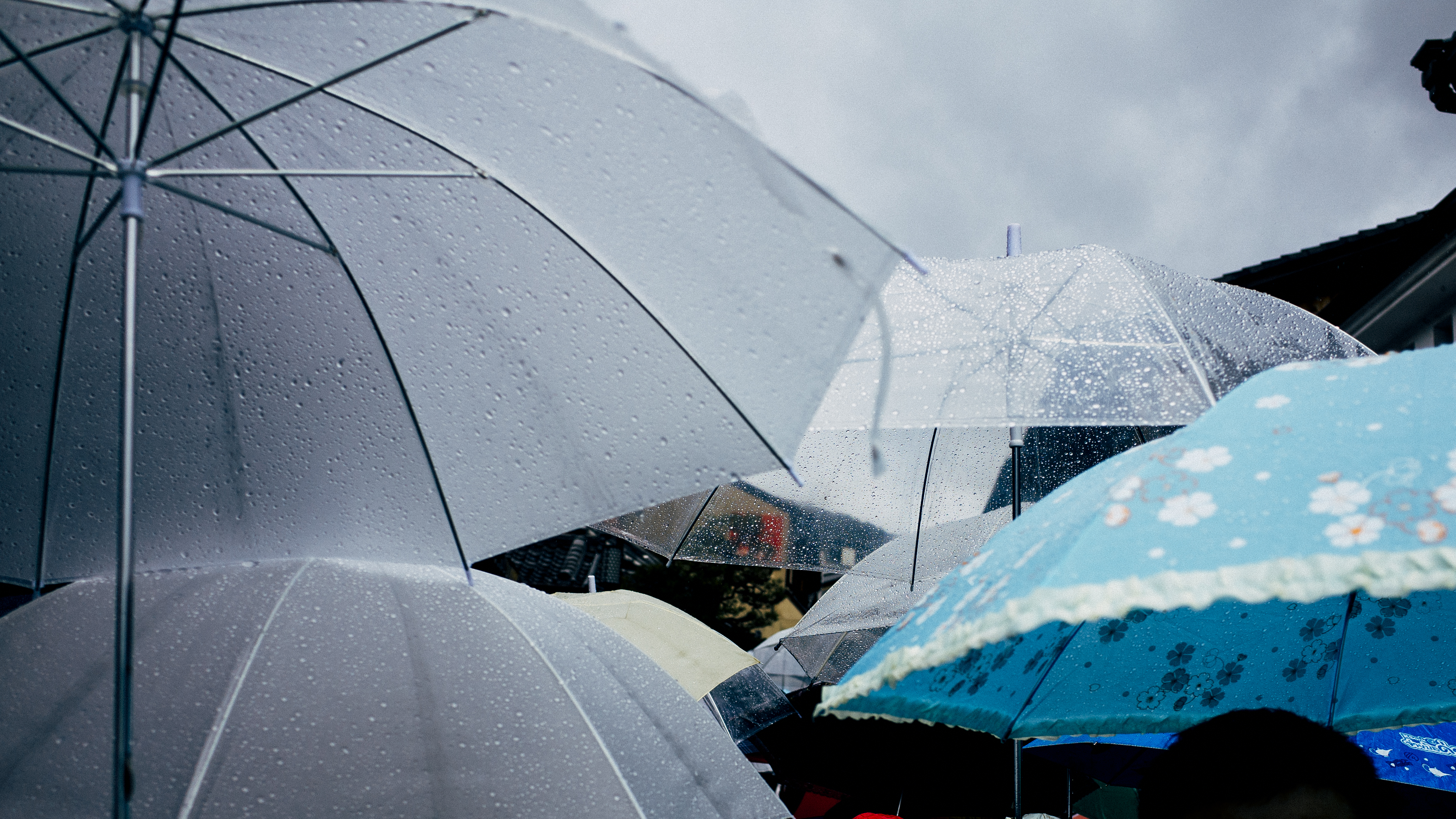Storms Covered by Home Insurance