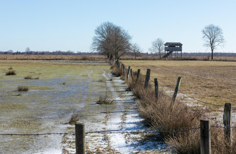 Farmers Claim Following Flood Damages