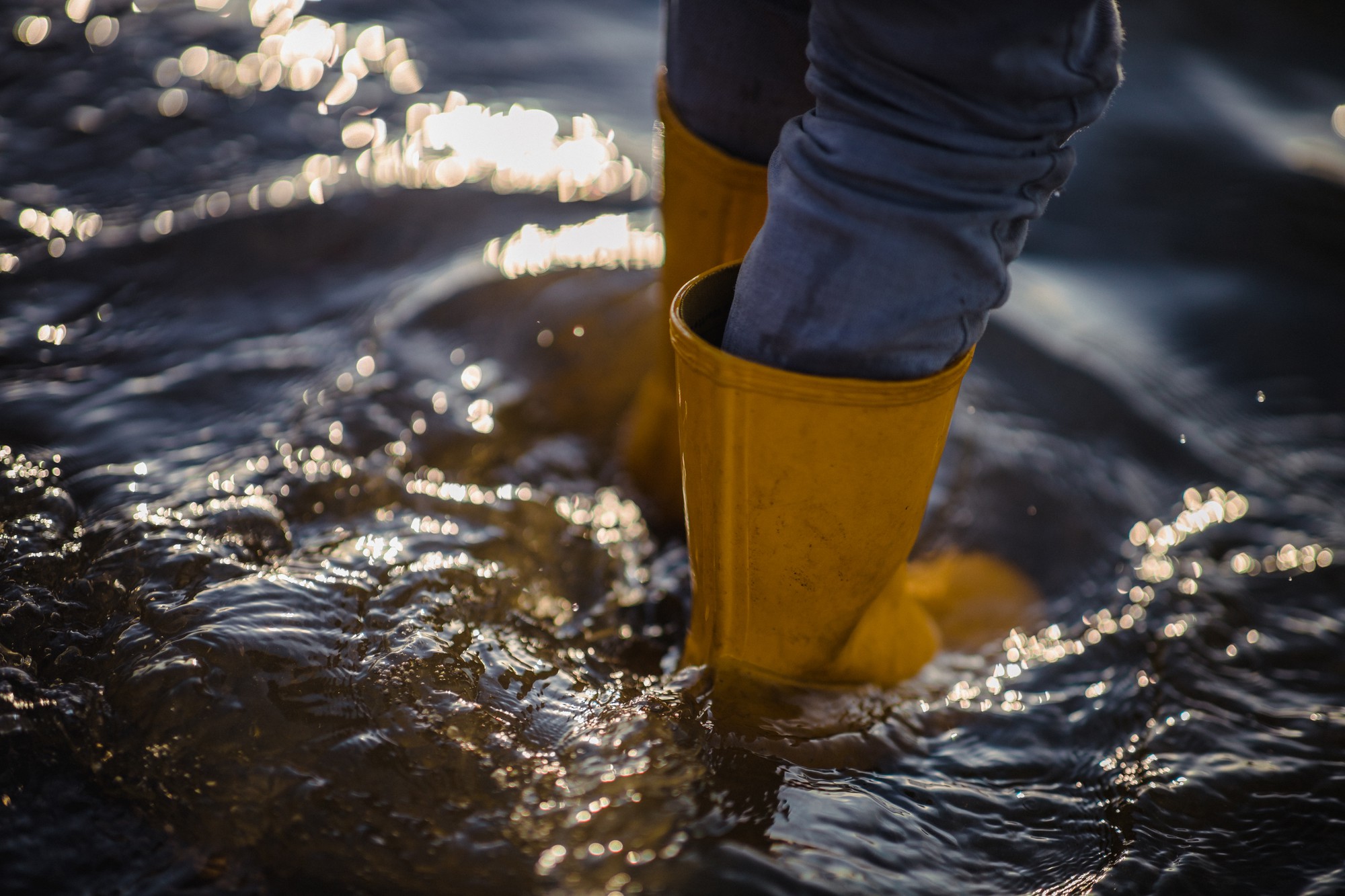 Exclusions in Flood Insurance Policies